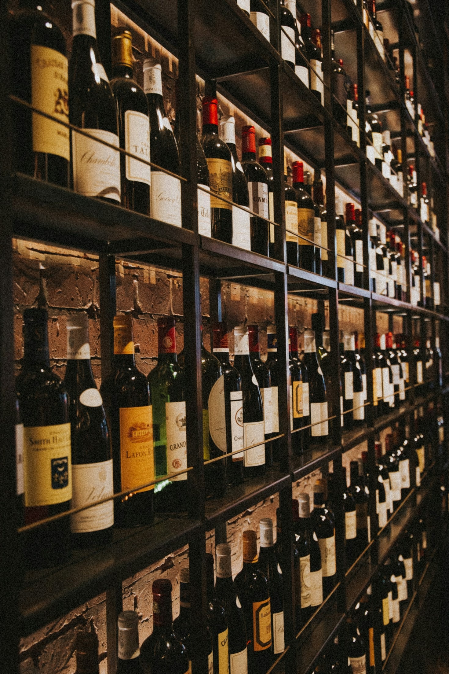 Come iniziare il tuo viaggio nel vino