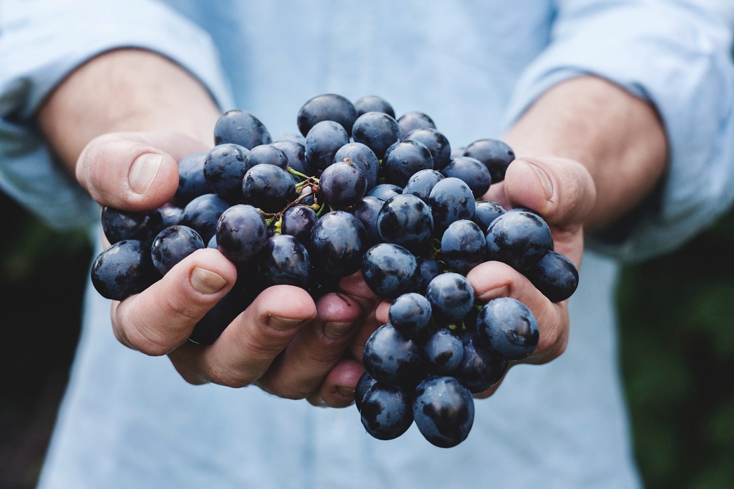 Cosa sapere sui diversi tipi di vino